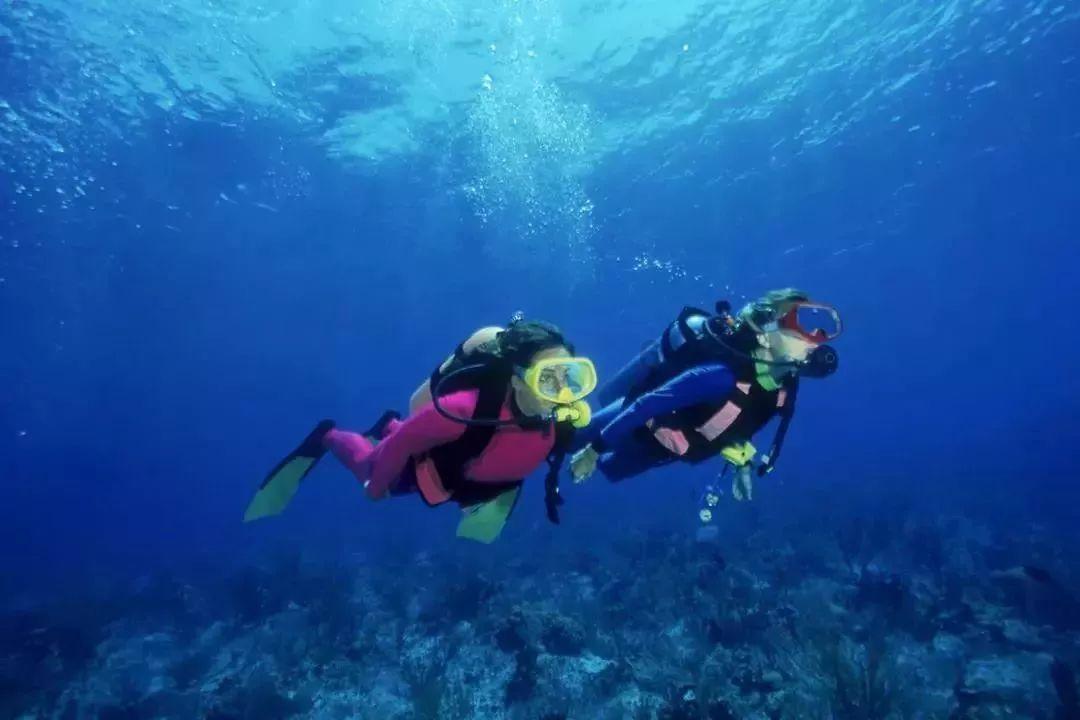 公主的大宫殿